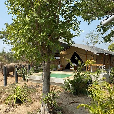 Elephant View Camp Ban Huai Thawai Exteriör bild