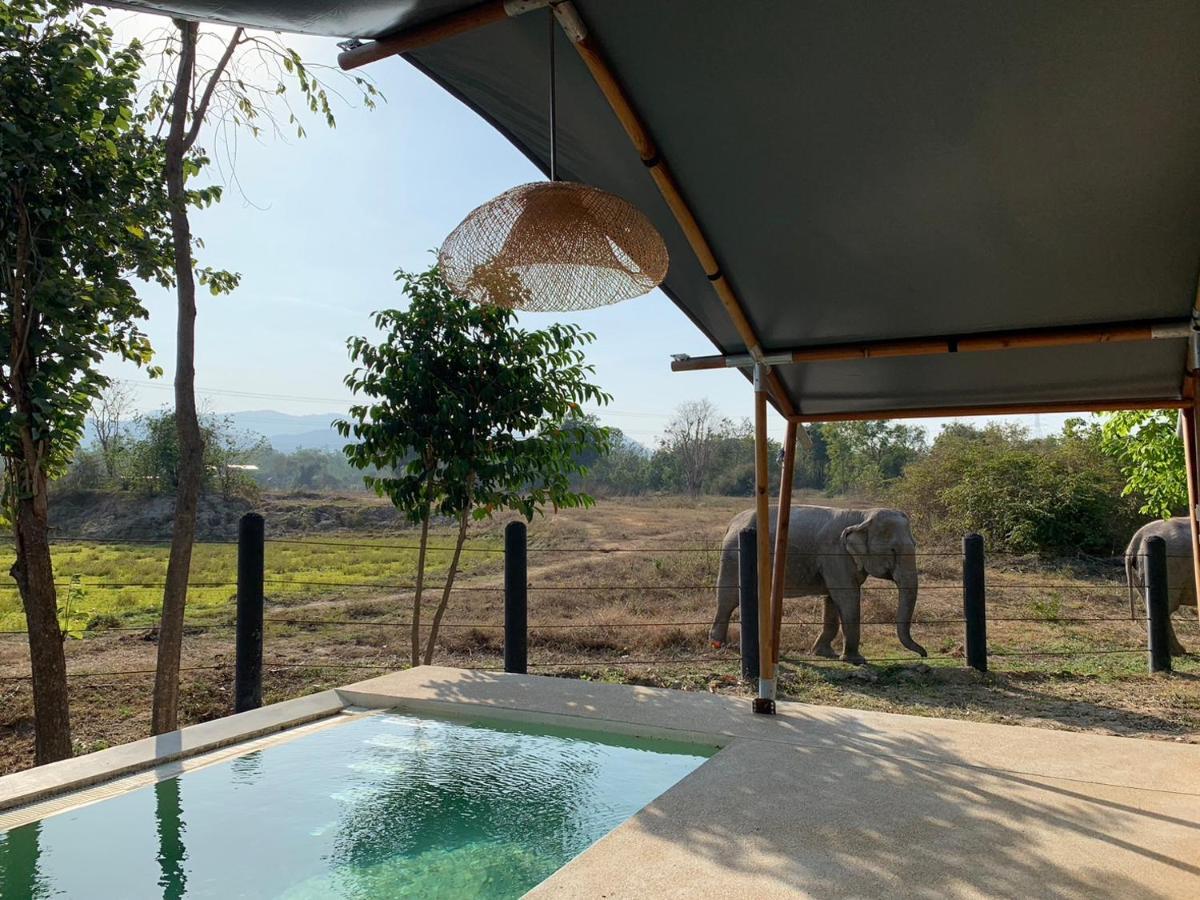 Elephant View Camp Ban Huai Thawai Exteriör bild