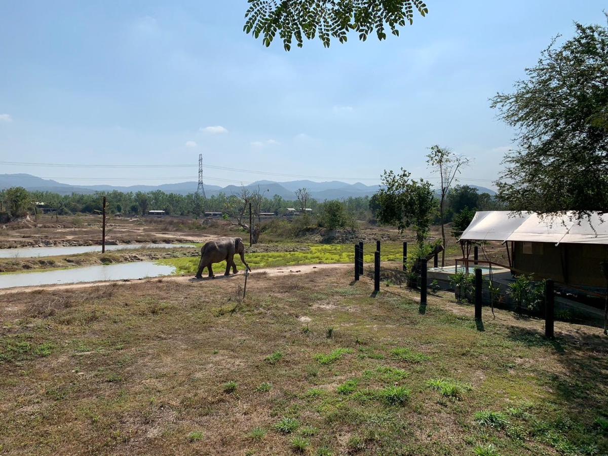 Elephant View Camp Ban Huai Thawai Exteriör bild