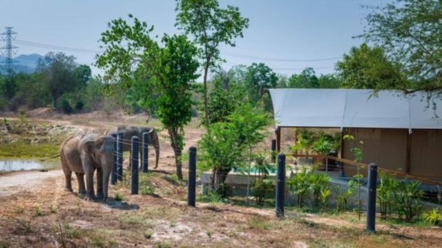 Elephant View Camp Ban Huai Thawai Exteriör bild
