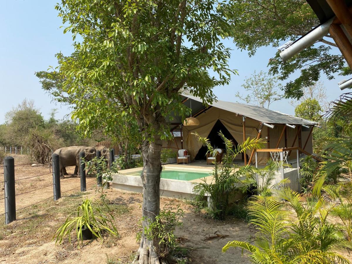 Elephant View Camp Ban Huai Thawai Exteriör bild
