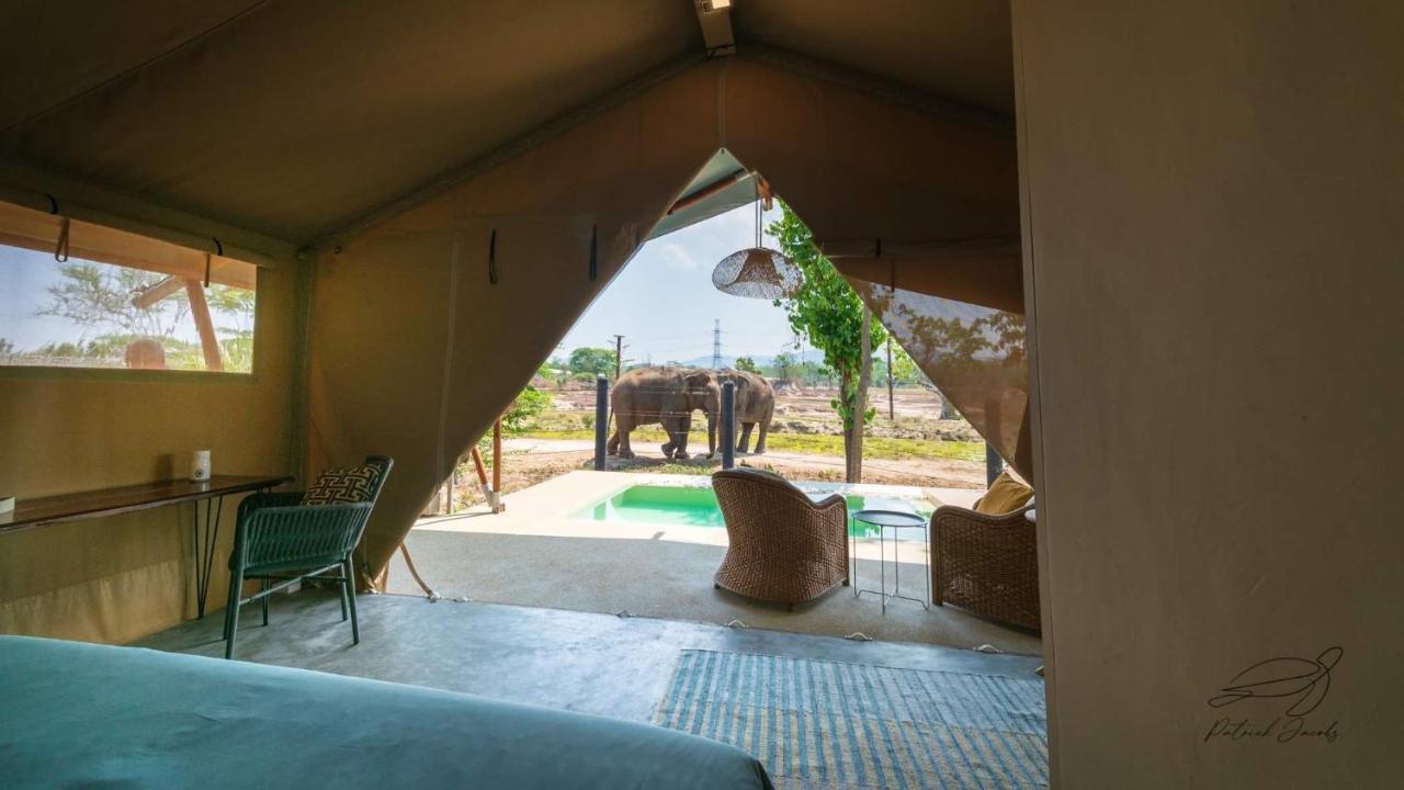 Elephant View Camp Ban Huai Thawai Exteriör bild